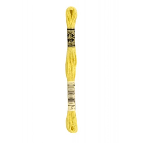 Fil Mouliné DMC Special Gold Concept 8m