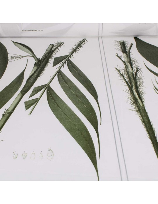 Tissu cretonne carré botanique blanc