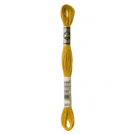 Fil Mouliné DMC Special Gold Concept 8m
