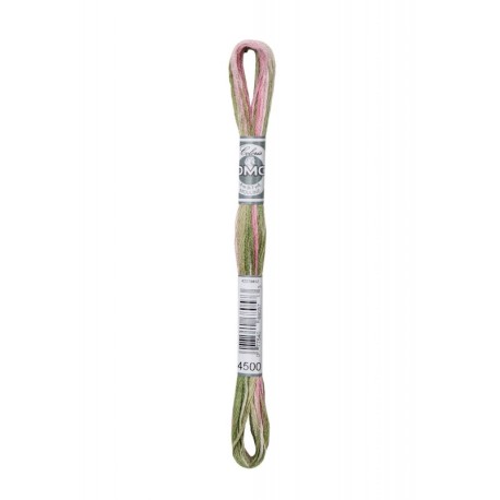 Fil Mouliné DMC Multi 8m