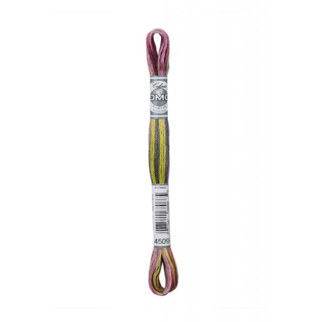 Fil Mouliné DMC Multi 8m