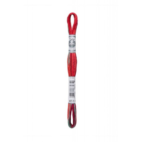 Fil Mouliné DMC Multi 8m