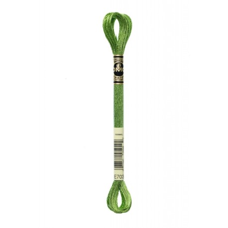 Fil Mouliné DMC Metallisé 8m