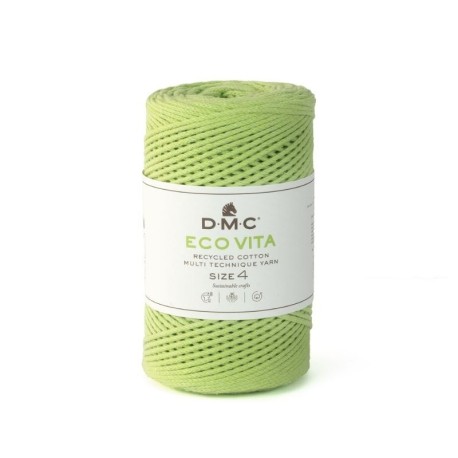 Fil DMC Recyclé Eco Vita 4