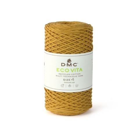 Fil DMC Recyclé Eco Vita 4