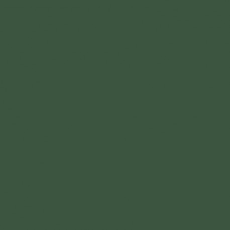 Coupon 3m Tissu Diabolo Sapin Grande Largeur