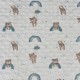 Coupon 3m Tissu Bubble Minky Imprimé Ours arc-en-ciel Menthe 