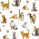 Coupon 3m Tissu Chats Percale Imprimé Blanc 