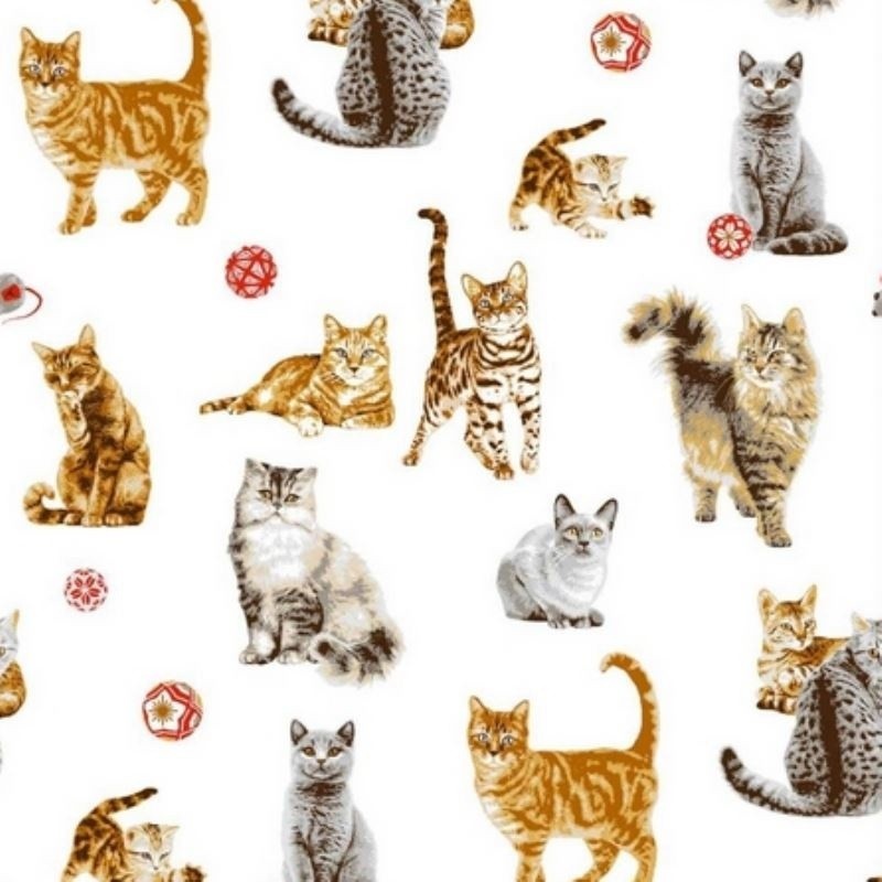 Coupon 3m Tissu Chats Percale Imprimé Blanc 
