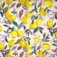 Coupon 3m Tissu Cretonne Enduit Citronnier Ivoire