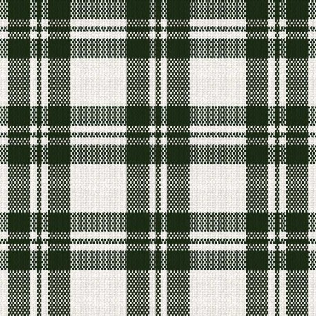 Coupon 3m Tissu Escoces Carreaux Vert Foncé