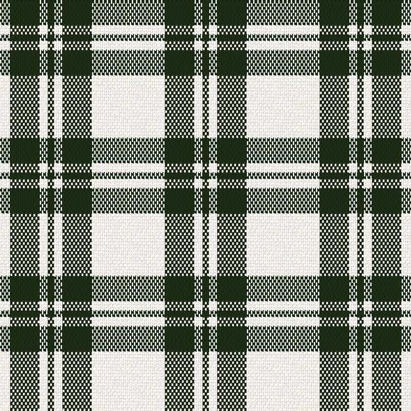 Coupon 3m Tissu Escoces Carreaux Vert Foncé