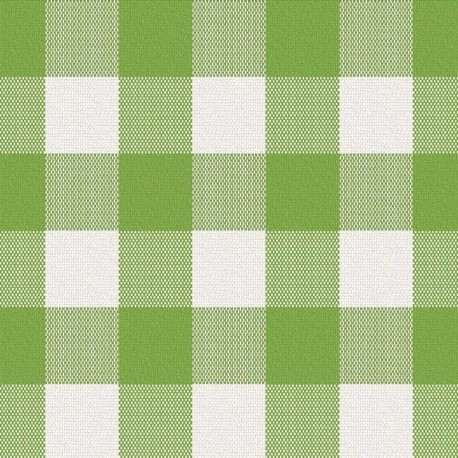 Coupon 3m Tissu Cuadro Carreaux Vert 