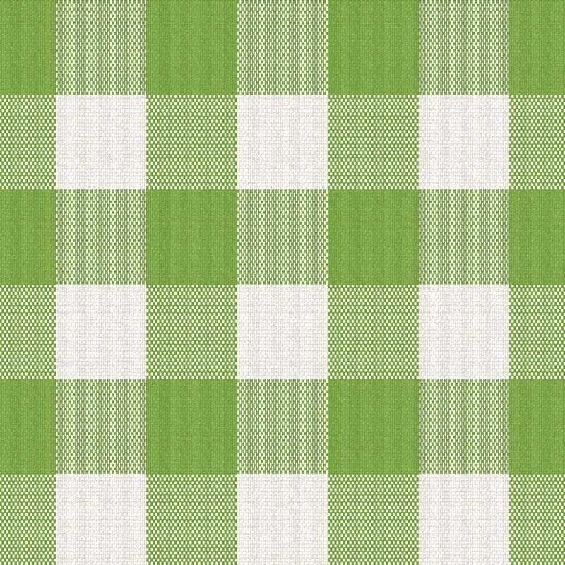 Coupon 3m Tissu Cuadro Carreaux Vert 