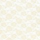 Coupon 3m Tissu Dentelle Ecru 