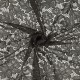 Coupon 3m Tissu Dentelle Fleur 2 Gris 