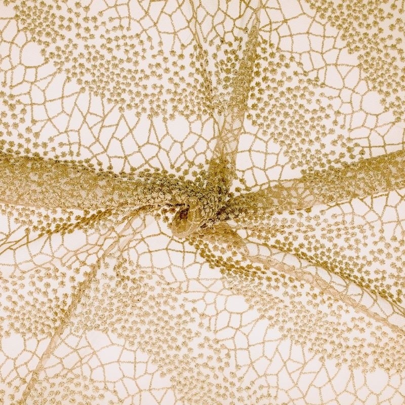 Coupon 3m Broderie Sur Tulle Beige