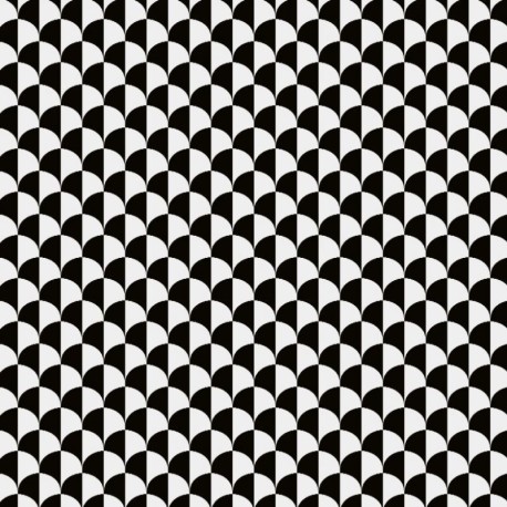 Coupon 3m Tissu Jacquard Frank Noir et Blanc 