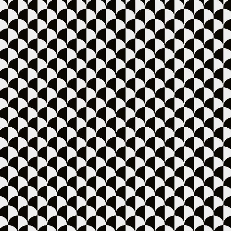 Coupon 3m Tissu Jacquard Frank Noir et Blanc 