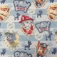 Coupon 3m Tissu Jacquard Paw Patrol Multico  