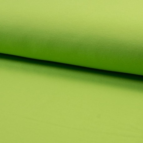 Coupon 3m Tissu Jersey Coton Bio Anis