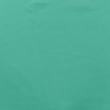 Coupon 3m Tissu Luciano Punta Vert Clair