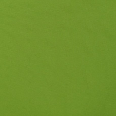 Coupon 3m Tissu Luciano Punta Vert 