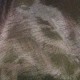 Coupon 3m Tissu Organza Nylon Gris