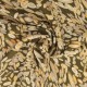 Coupon 3m Tissu Popeline De Viscose Imprimée Abstrait Marron